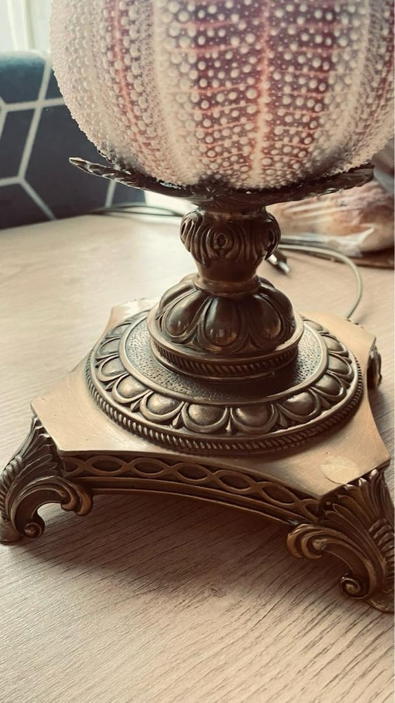 Gerçek Deniz Kestanesi Vintage Abajur - 5