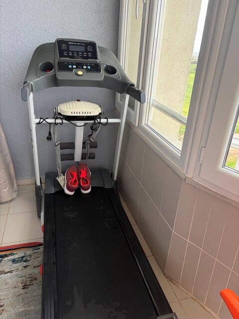 voit balance plus