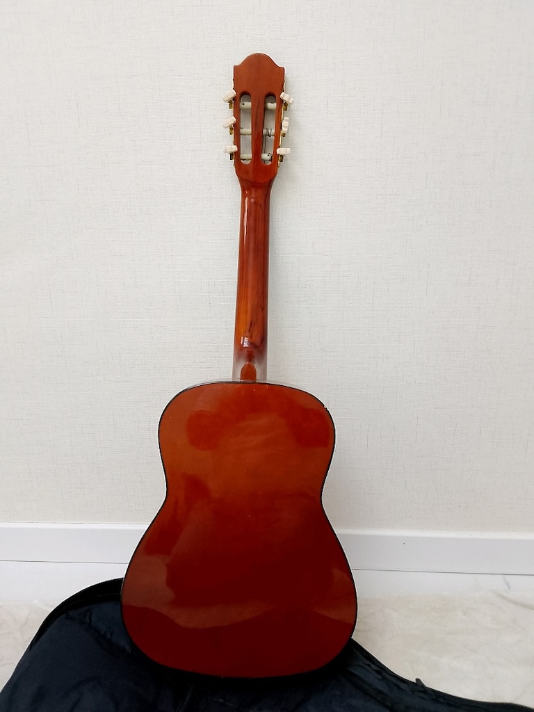 Rayban Manuel marka gitar - 3