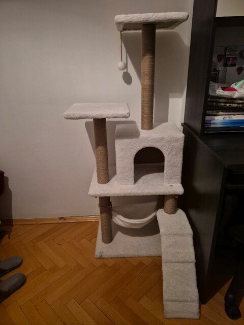 Salıncaklı kedi evi