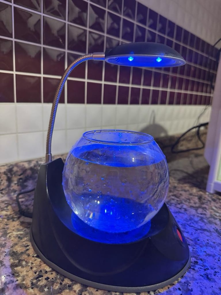 LED Işıklı Dekoratif Akvaryum Fanusu - 4