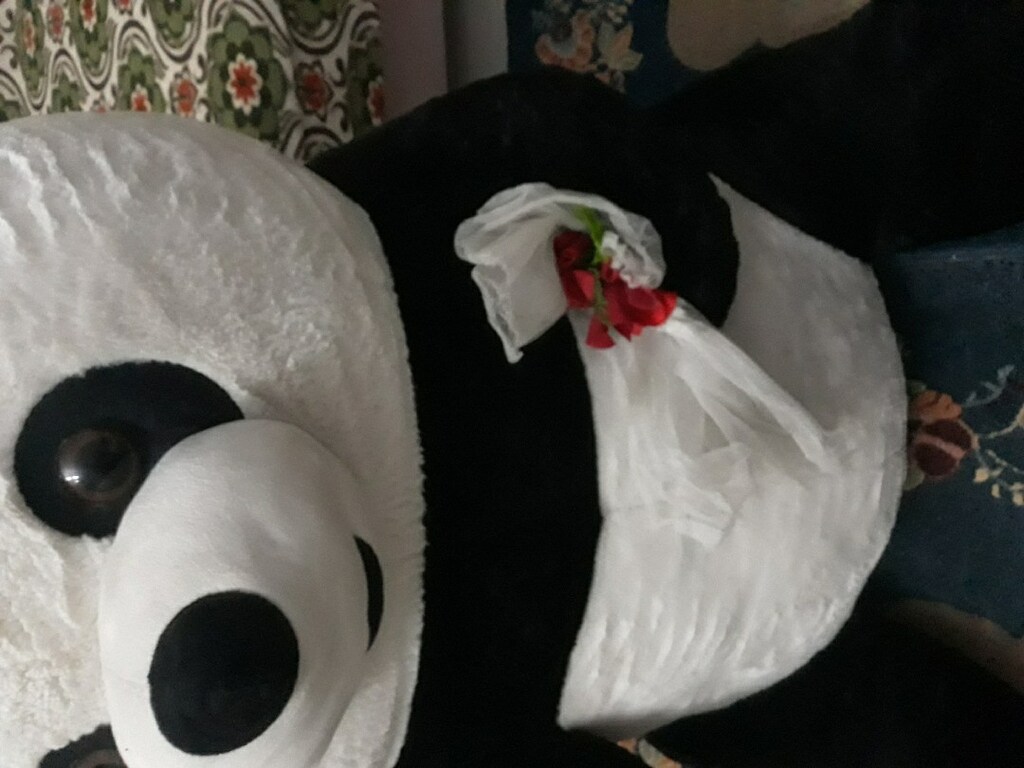 büyük panda ayı adres İstanbul Maltepe Fındıklı mahallesi - 3