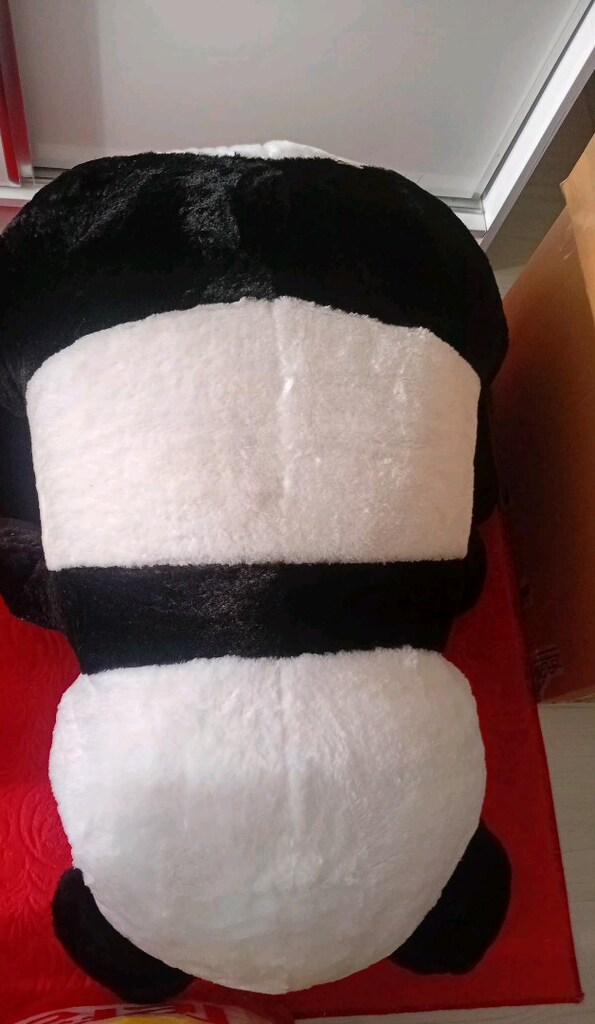PANDA AYI - 2