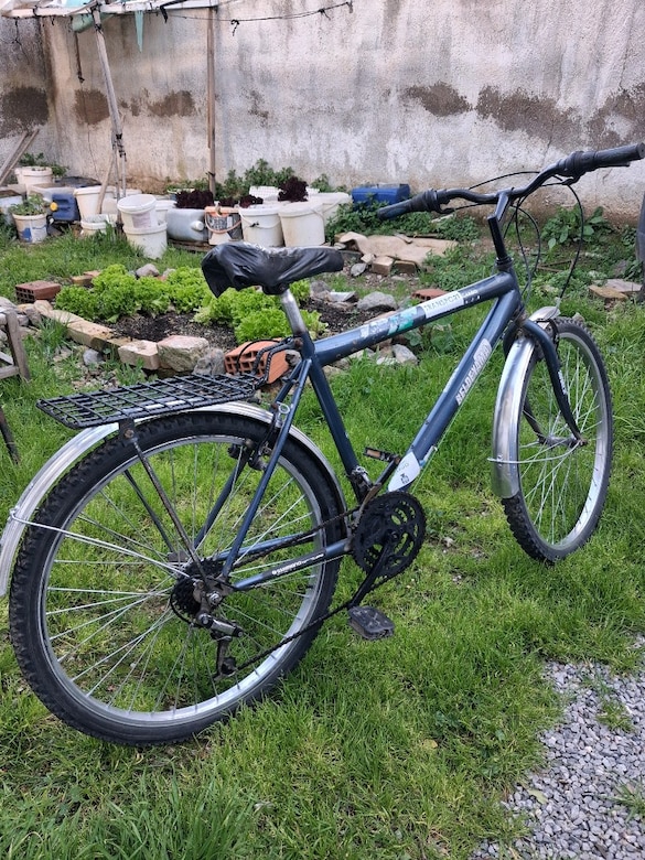 26 jant 21 vites yetişkin bisikleti - 3