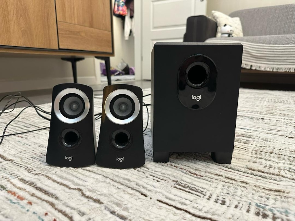 Logitech Z313 Hoparlör Seti - 10