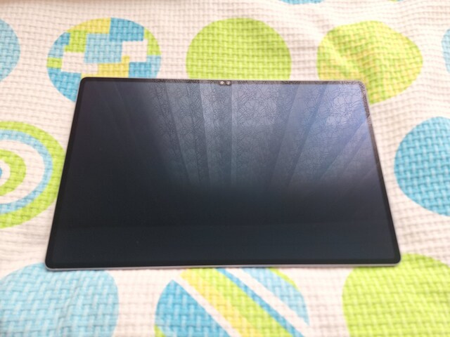SAMSUNG GALAXY TAB S10 ULTRA 256 GB GRİ