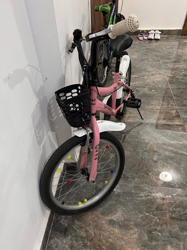 cesa bikes bisiklet - 2