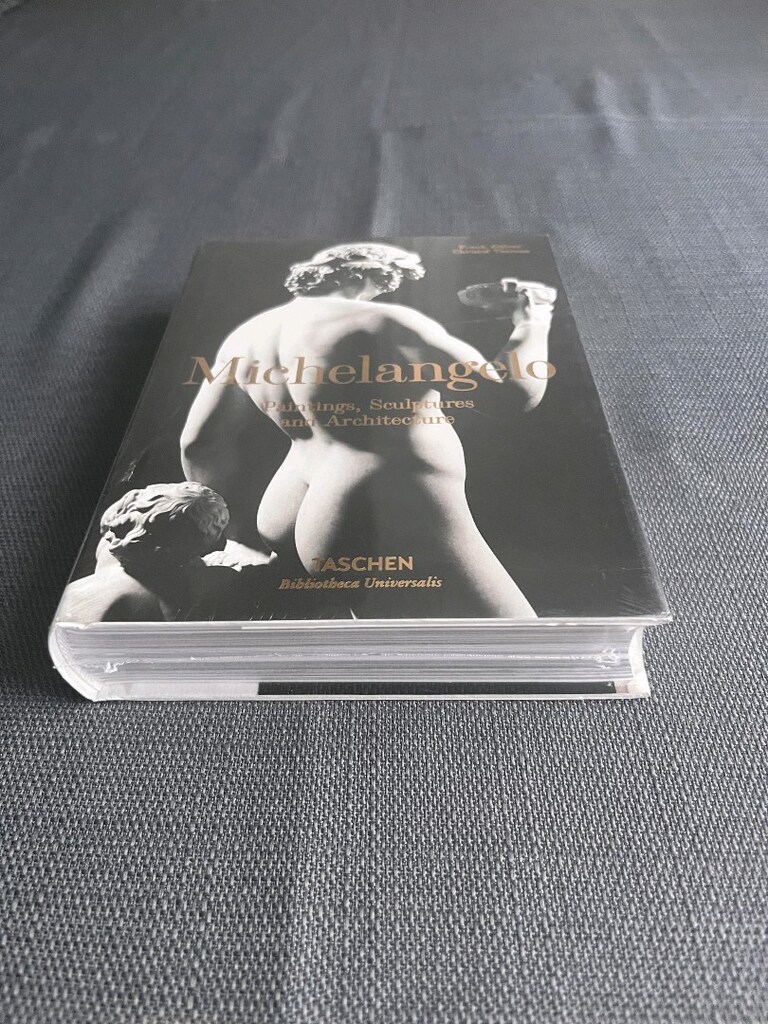 Michelangelo İngilizce Sanat Kitap - 6