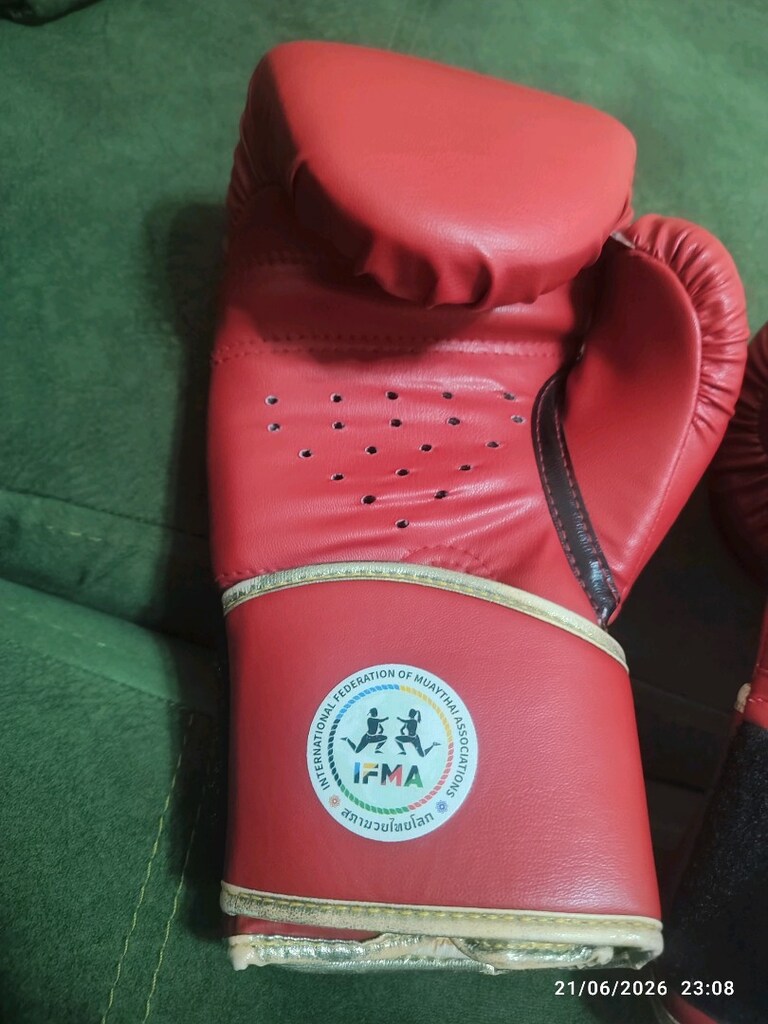 Dragon Boks Eldiveni - 4