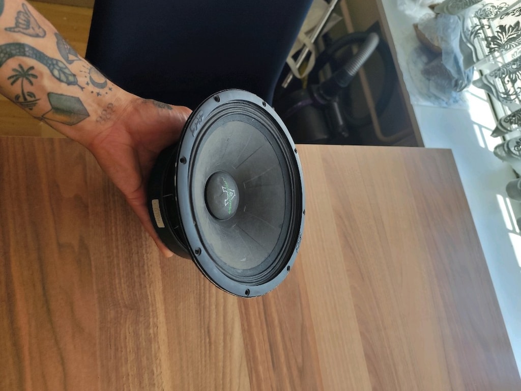 apocalypse 81a 20cm midrange - 4