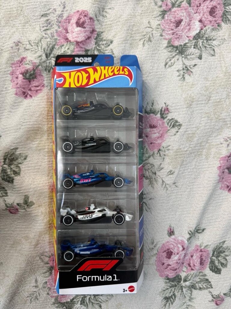 hot wheels birsürü - 6