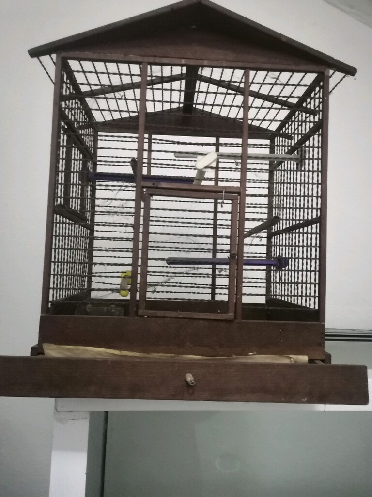 kafes antika kanarya ve bütün kuşlar icin - 3
