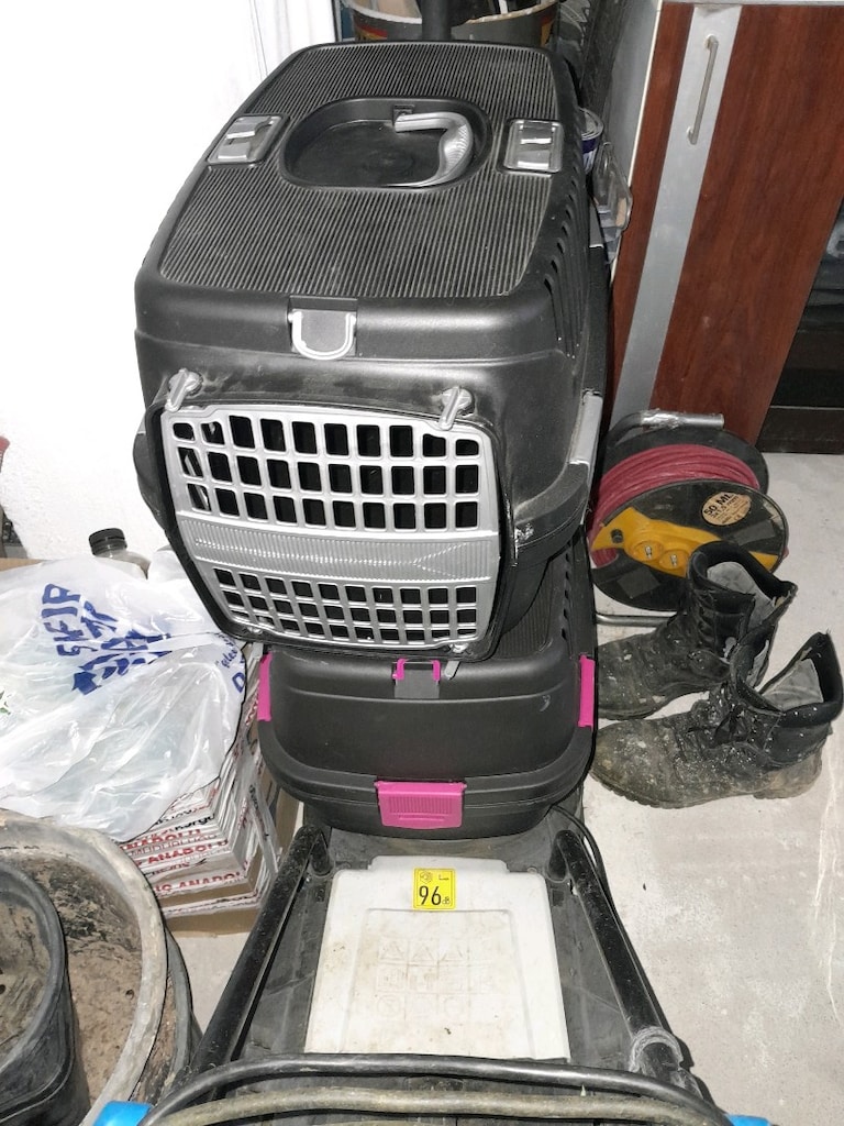 2 ADET KEDİ-KÖPEK TAŞIMA ÇANTASI - 2