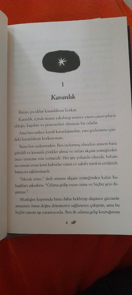 KİRAZ AĞACI İLE ARAMIZDAKİMESAFE,FLIPPO BEN, KIRAZ AĞACININ ARDINDAN - 3