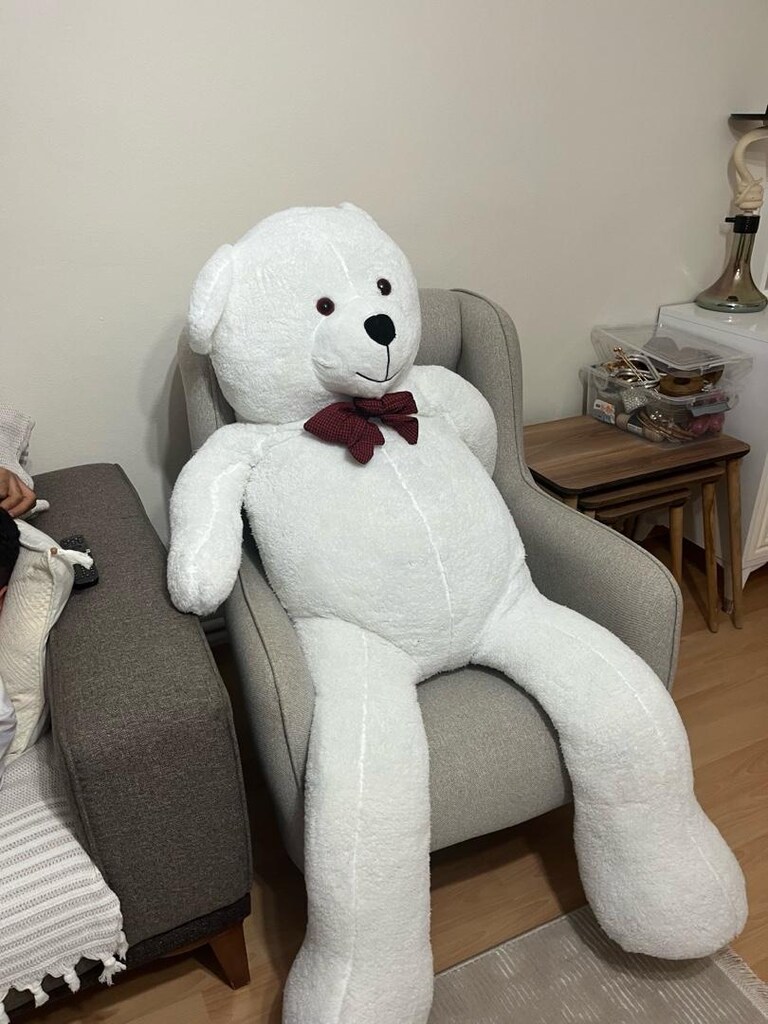 peluş ayıcık - 2