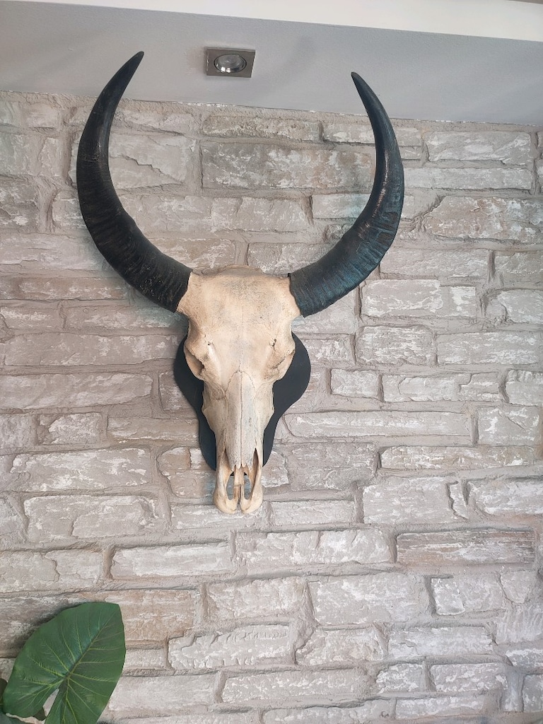 heykel aksesuar Gerçek Buffalo yurtdışından - 5