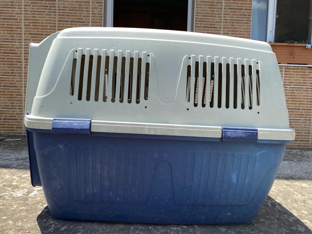 Strong CD8 Köpek Taşıma Çantası Tekerlekli - 5