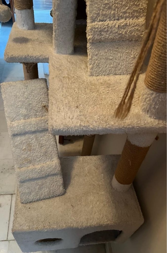 kedi evi - 6