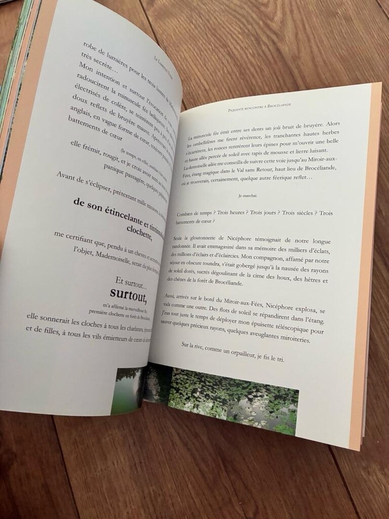 2 Fransızca kitap - 3