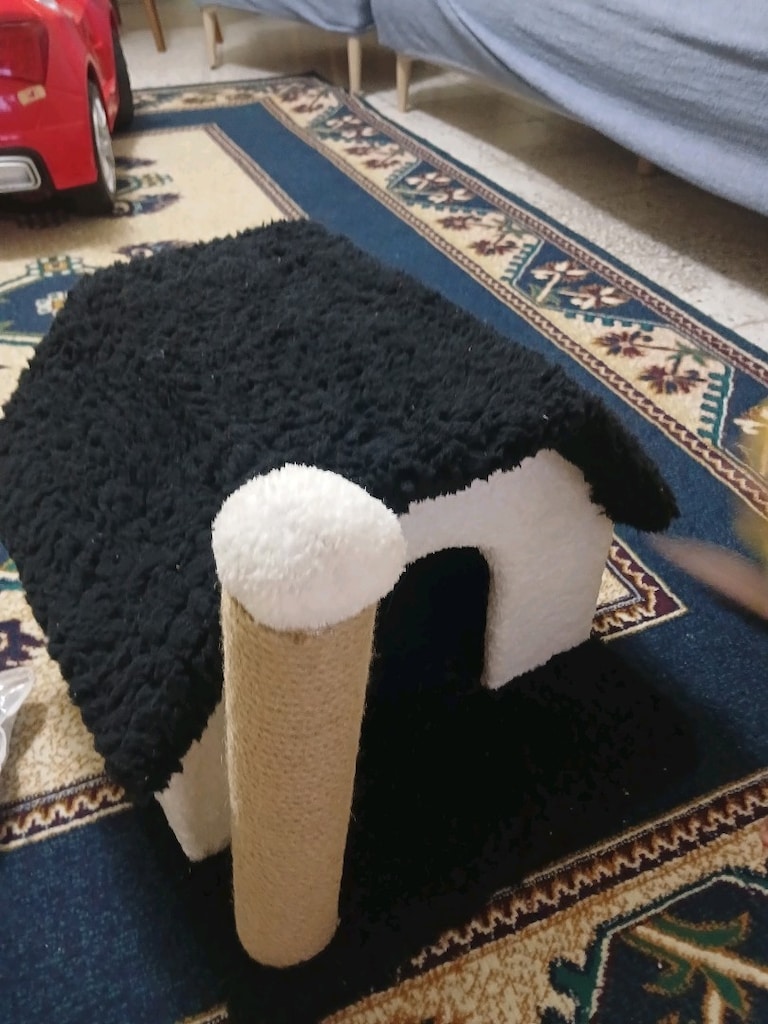 Kedi evi - 3