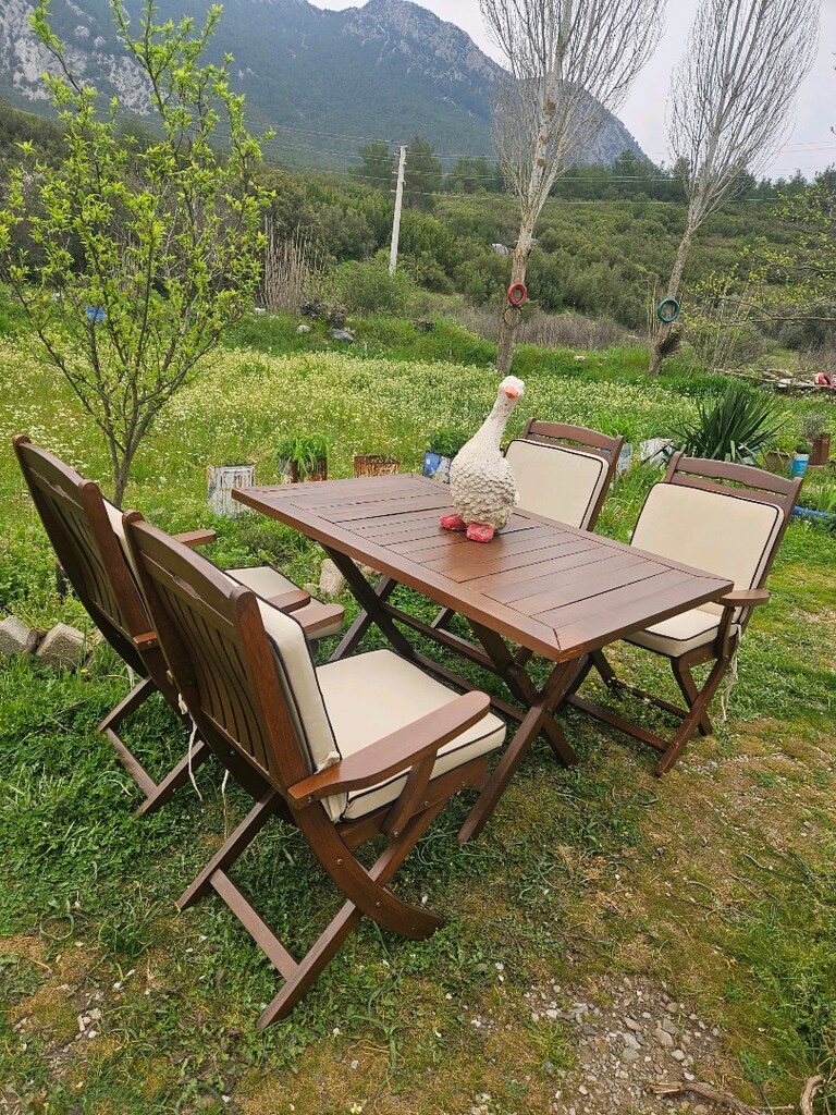 Katlanır Tik ağacı Katlanır kolçaklı masa sandalye - 5