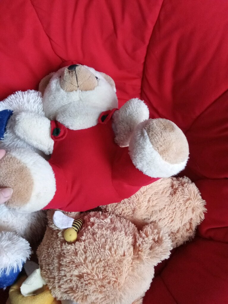 Peluş Oyuncaklar - 4