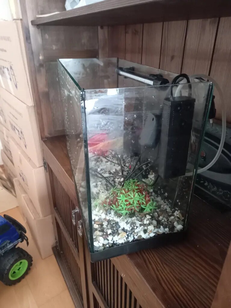 48 cm tam takım full akvaryum - 4