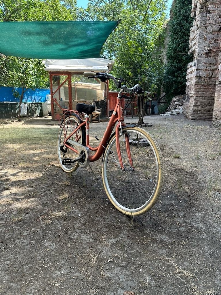 Carraro Juliet 28 Jant 21 Vites V-Fren – Temiz ve Bakımlı - 2