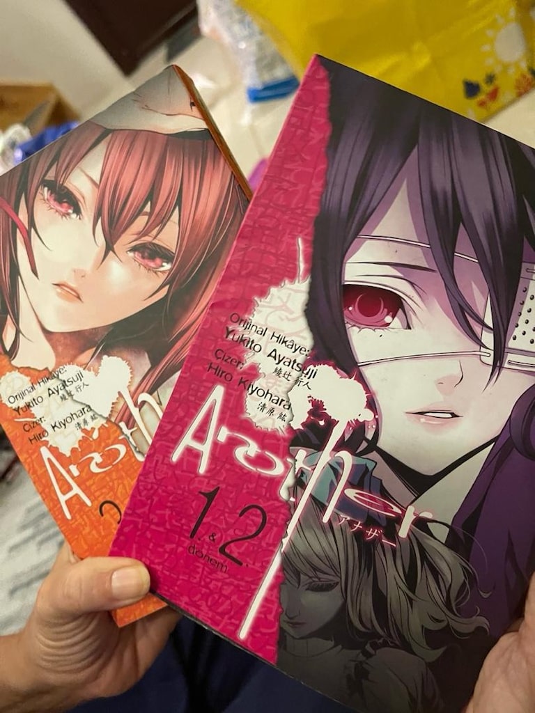 manga seri halinde kitaplar - 13