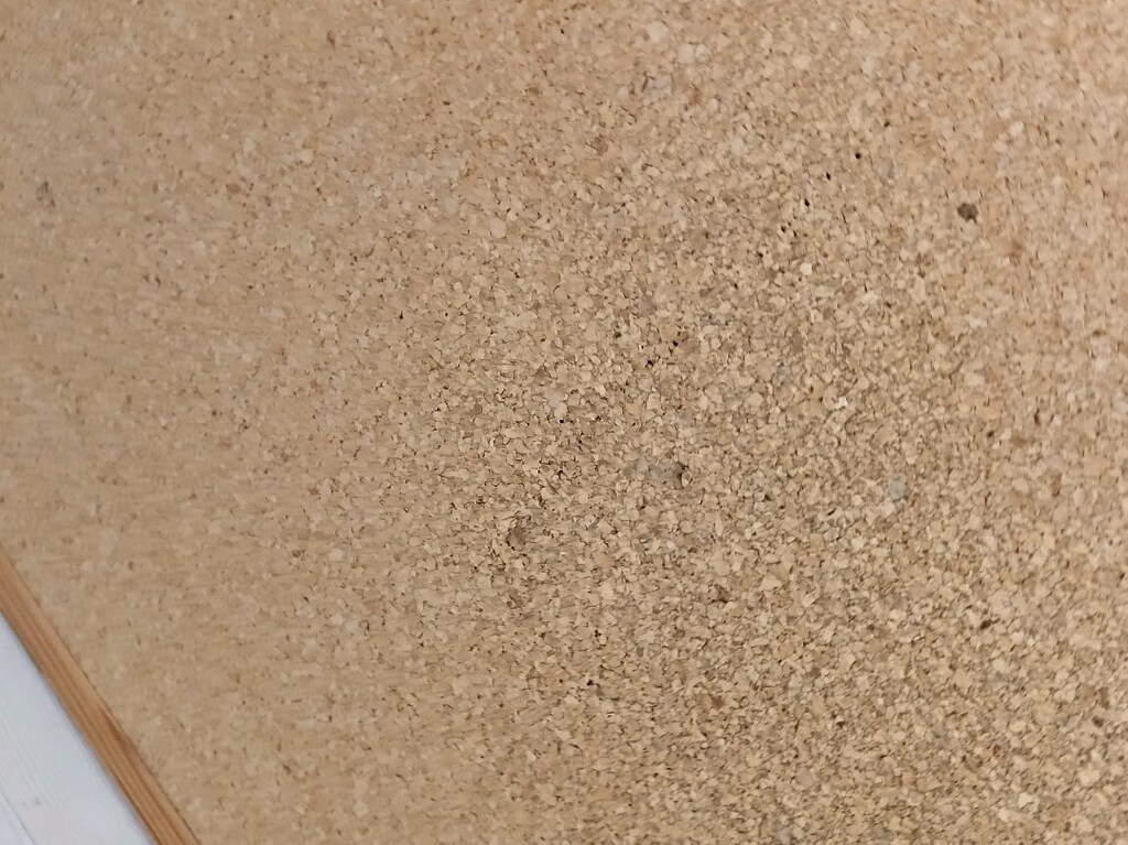 mantar pano - 6