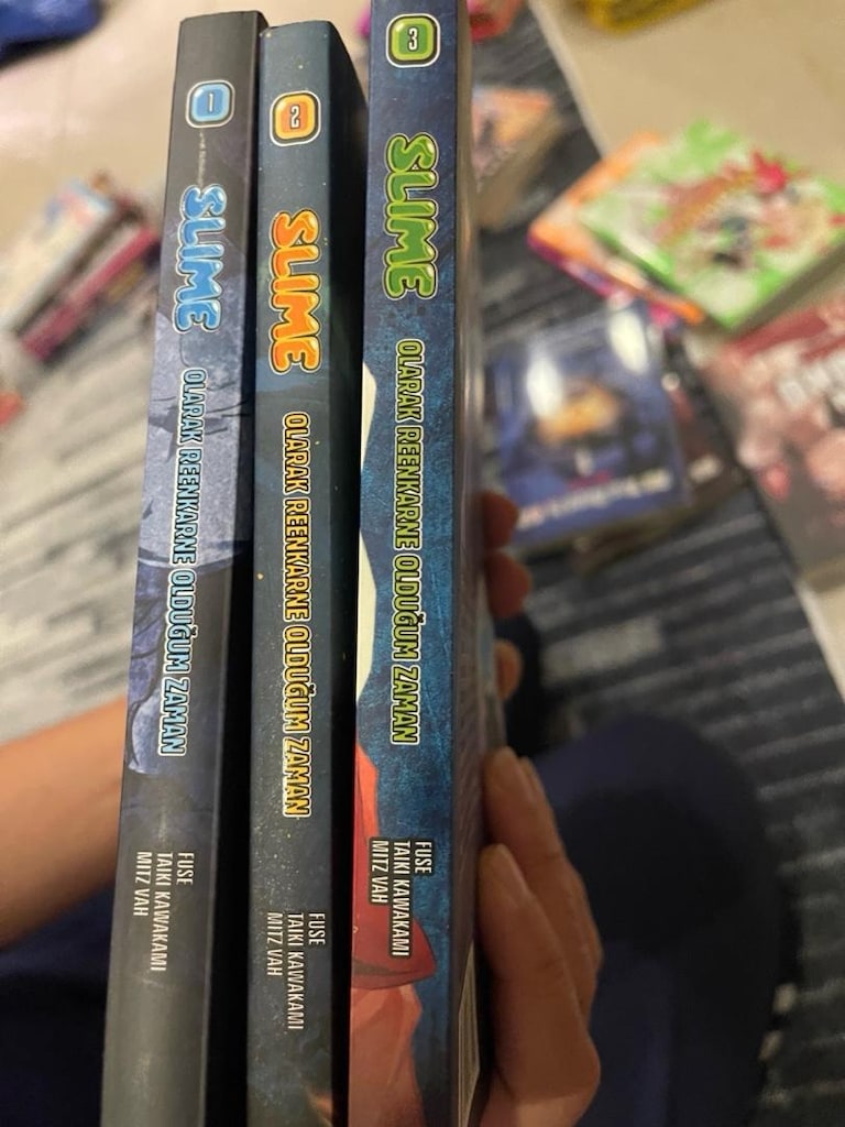 manga seri halinde kitaplar - 14