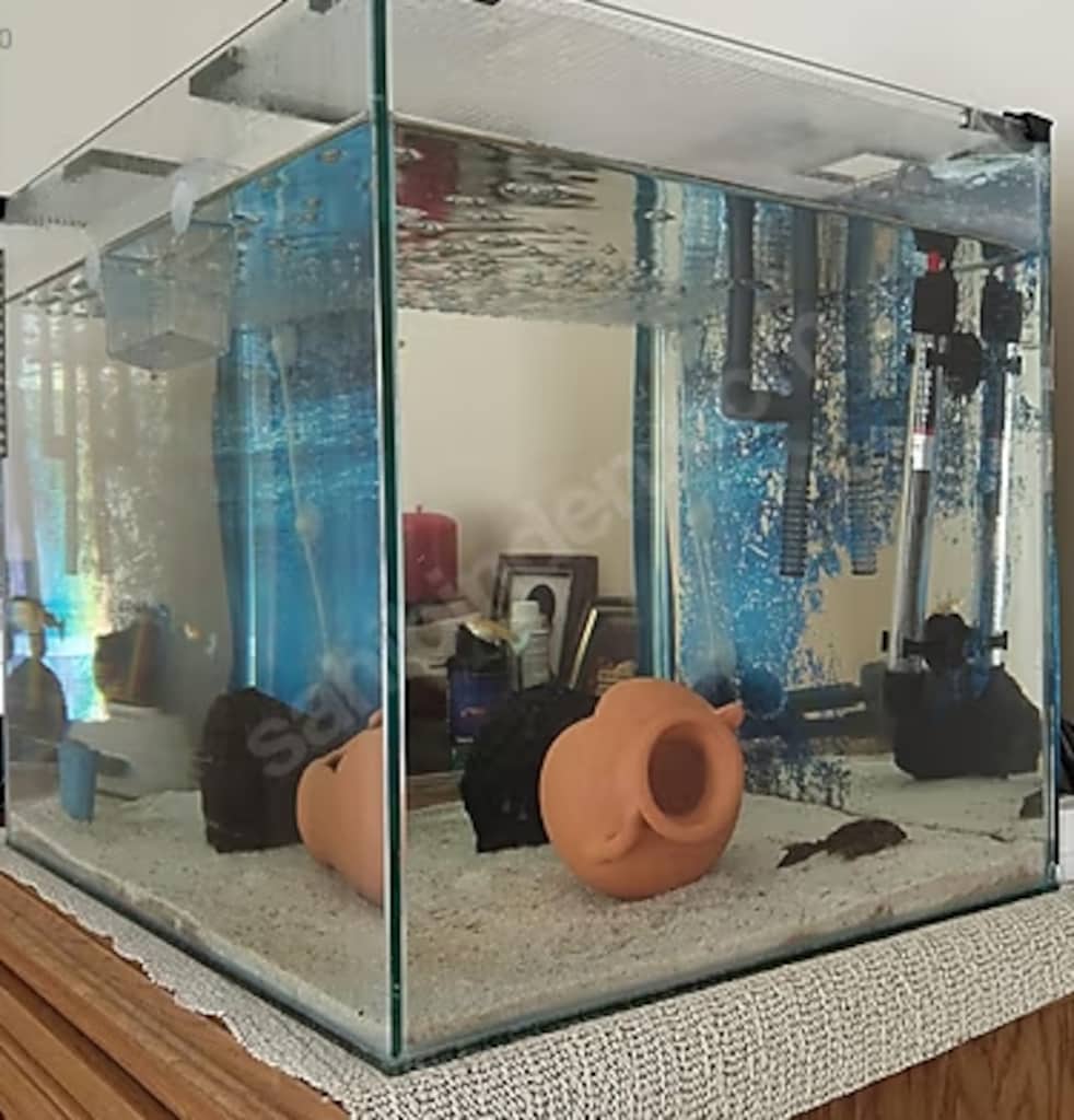 50x40x40 Ultra Clear akvaryum Özel yapım.