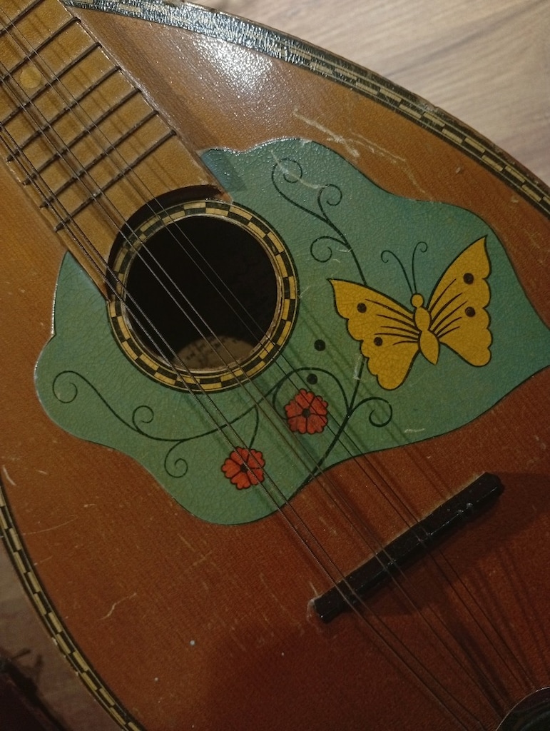 mandolin - 4