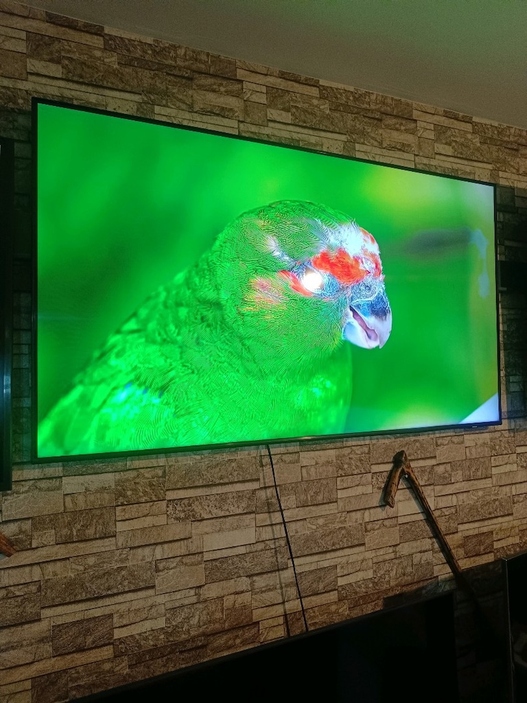 Samsung 55 inç qled tv - 9