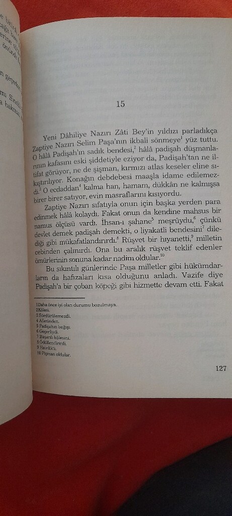 SİNEKLİ BAKKAL, HALİDE EDİP ADIVAR - 3