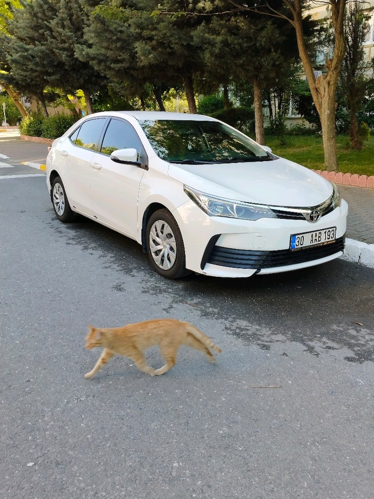 Toyota Corolla life 2017 model - 18