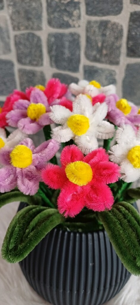 Saksılı Solmayan çiçek - 3