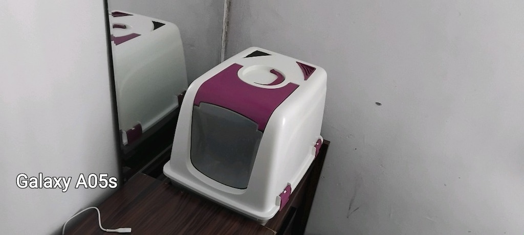 Kedi tuvaleti yanında yarım torbadan fazla koku yapmayan kumuda mevcut - 3
