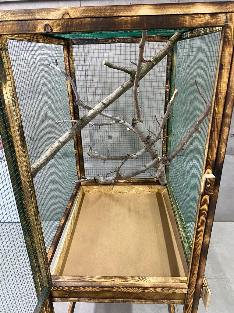 muhabbet kafesi - 3
