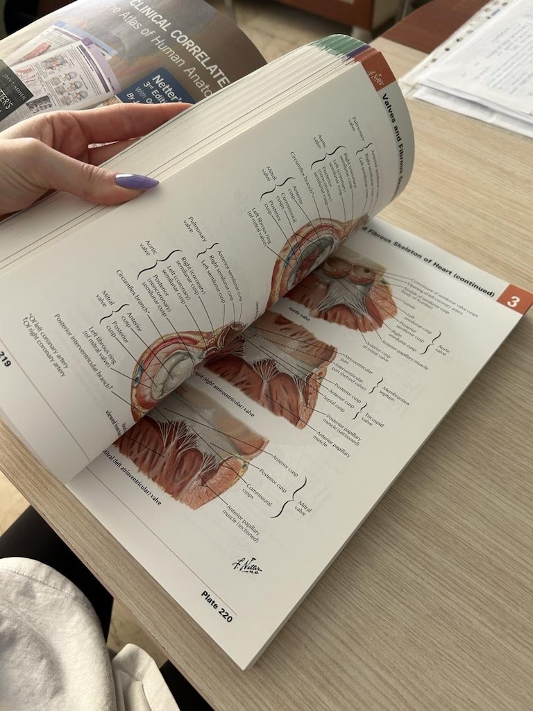 ANATOMY - 3
