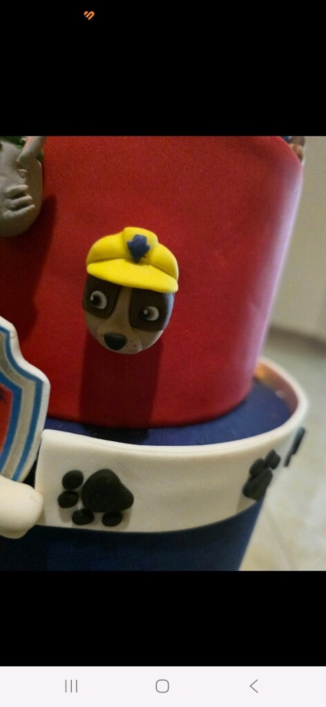 Paw Patrol dogum gunu konsepti - 5