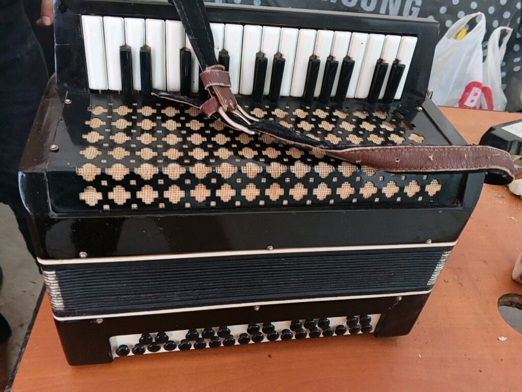 Garmon Akardion - 2
