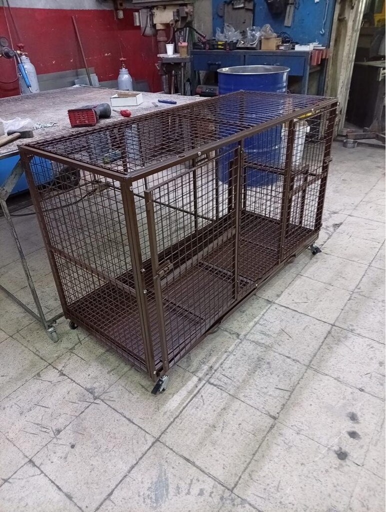 köpek boxı - 4