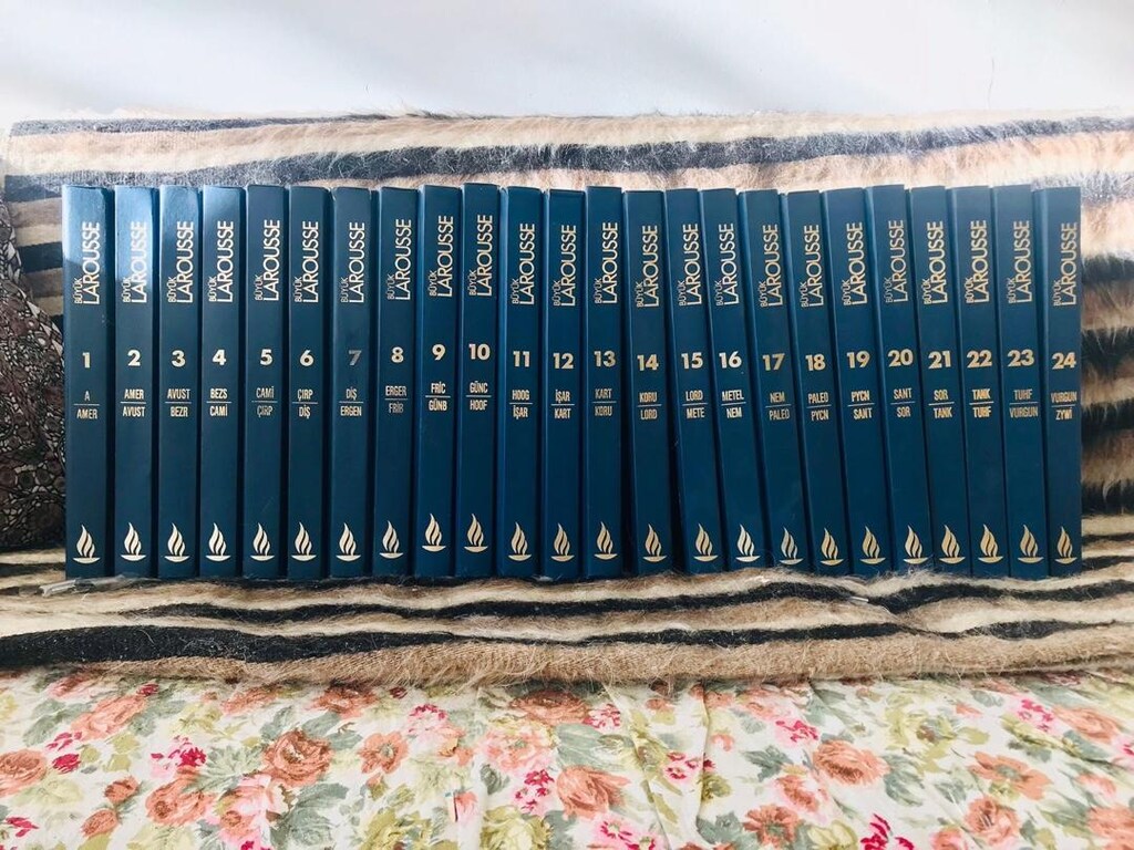 BÜYÜK LAROUSSE Ansiklopedi (24 adet) - 4