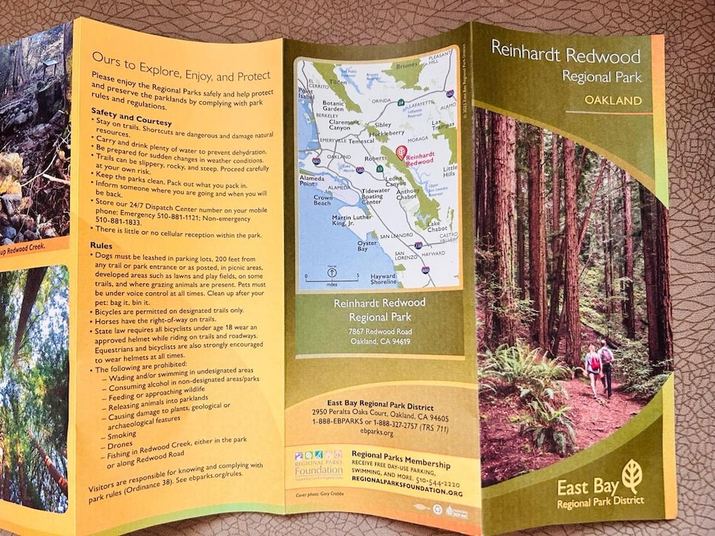 Reinhard Redwood park rehberi - 4