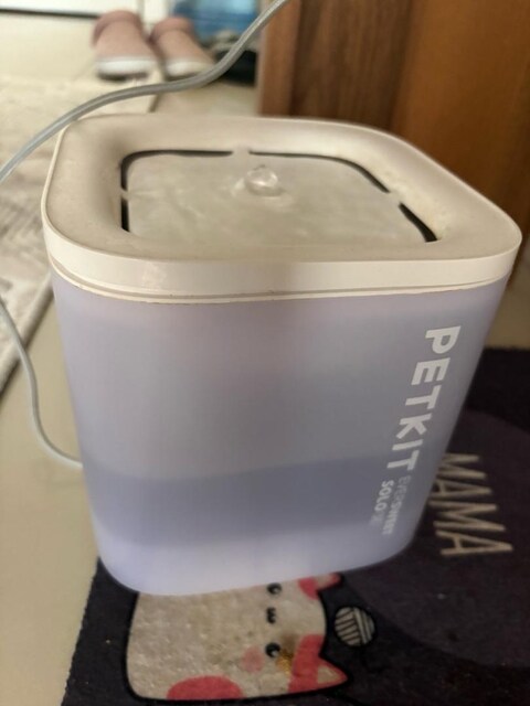 PETKIT su pınarı