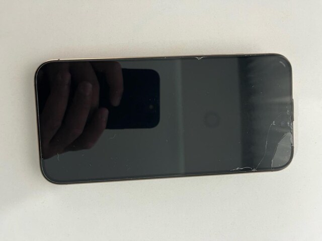 İPHONE 16 PRO MAX 256 GB YD