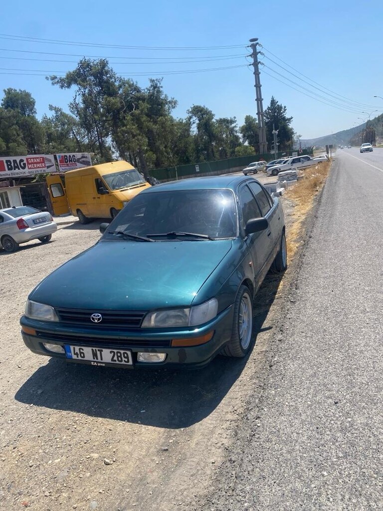 peynir ekmek parasına - 5