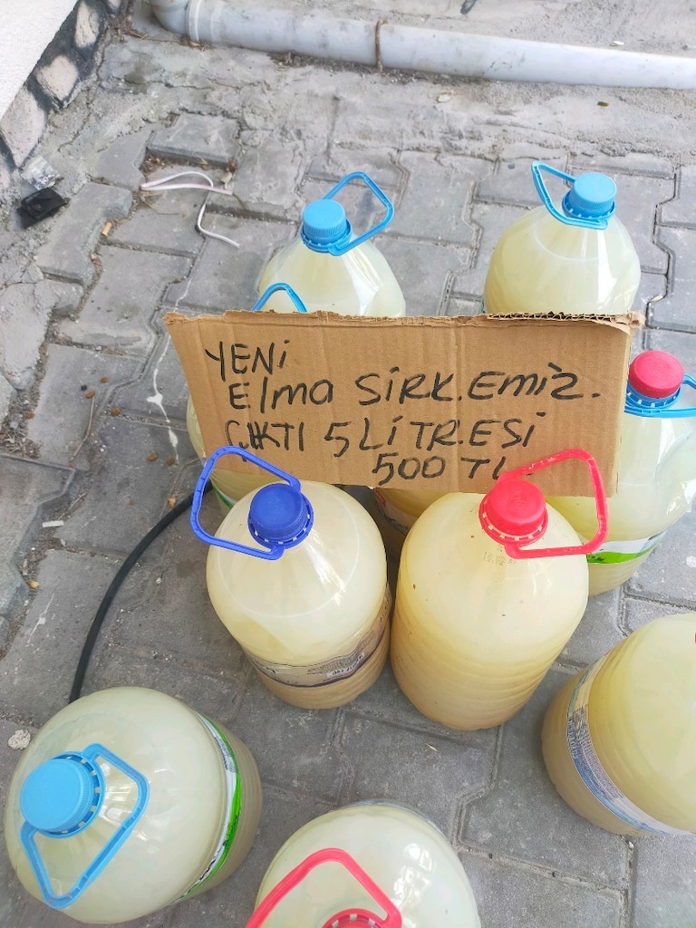 ev yapımı elma sirkesi