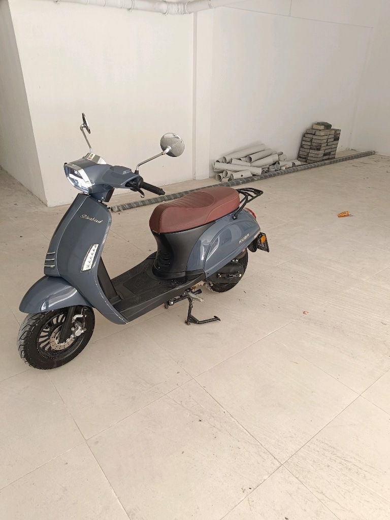 Kuba bluebird 50 - 3